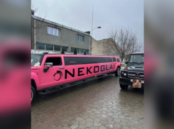 Депортированного из России блогера Некоглая в Молдове зачем-то встретили с шиком и пафосом