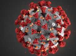 В Страшенах поместили под карантин прибывшего из Китая ребенка