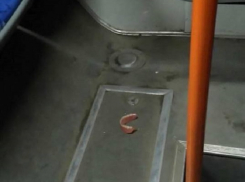 Потерянная в троллейбусе челюсть вызвала бурные фантазии кишиневцев 