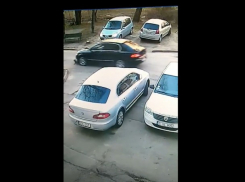 18+ В Кишиневе водитель цинично наехал на собачку и скрылся