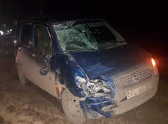 Возвращавшийся с работы велосипедист погиб под колесами иномарки в Фалештах