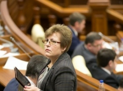 Депутат ЛДПМ жалеет, что в 2013 году не прошли досрочные выборы