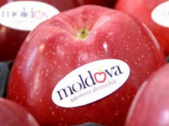 Что нужно знать производителям фруктов в Молдове, чтобы экспортировать свою продукцию на рынок ЕС 