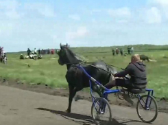 Чемпионат по скачкам прошел в Дрокиевском районе 