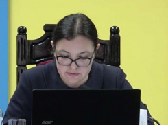 Отказ в референдуме по отмене смешанной избирательной системы в ЦИКе оправдали процедурными нарушениями