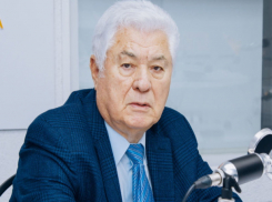 Воронин: Санду не стесняется лично в обход закона вербовать избирателей из рубежом