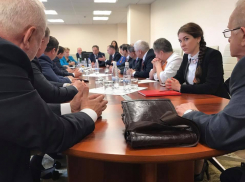 Социалисты настаивают на включении в повестку заседания проекта о переходе к смешанной избирательной системе