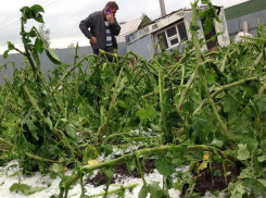 Желтый уровень метеоопасности объявили в Молдове в связи с заморозками 