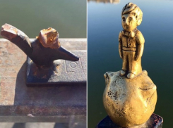 Очередной акт вандализма на озере Валя Морилор - спилена декоративная роза с забора