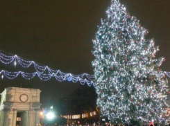 Новогодняя елка будет установлена в парке Кафедрального собора