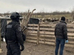 Рабство в 21-м веке: Владелец фермы из Флорешт эксплуатировал людей, избивал и толком не платил им денег