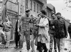 «Пропаганда» из России против «американцев в Освенциме»