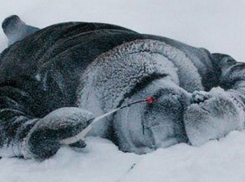 Двое мужчин замерзли до смерти в Фалештском и Новоаненском районах  