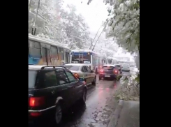 На Телецентре из-за обрыва проводов встали троллейбусы