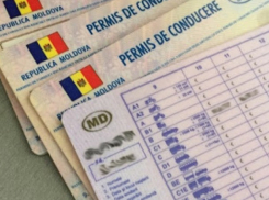 Новые водительские права в Молдове получат усиленную защиту и QR-код