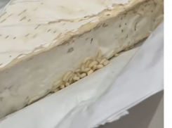 Сыр с червями в магазине Каушан: покупательница бьет тревогу