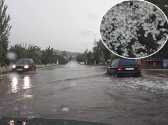 Сильнейший дождь с градом затопил Каушаны: погибли коровы, уничтожены посевы