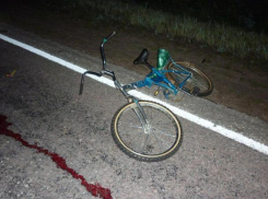 Водитель сбил насмерть велосипедиста в Тараклийском районе 