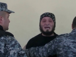 Давид Давитян выпущен на свободу