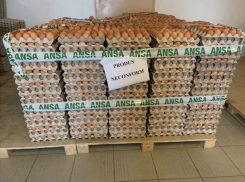 В яйцах молдавского производителя «Speranța» обнаружена сальмонелла