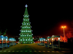 Мы ставим точку в этой клоунаде с тремя елками и двумя зайцами, - Кику 