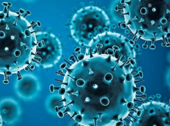В Молдове подтвердились 133 новых случаев COVID-19 – данные за субботу