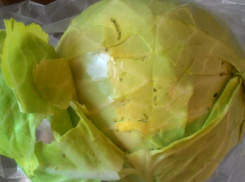 Столичная девушка впервые «попала на такое»: безобразие с капустой в гипермаркете