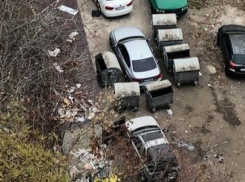 Сотрудники Autosalubritate остроумно отомстили нахальному водителю BMW