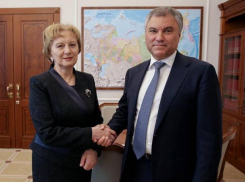 Зинаида Гречаный встретилась со спикером Госдумы Вячеславом Володиным 