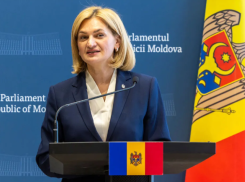 Дойна Герман: украинцы внесли в бюджет Молдовы более 1,6 млрд леев в 2025 году