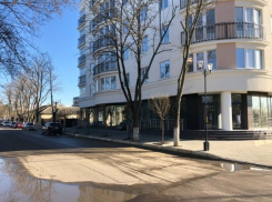 В исторической части Кагула незаконно спилили деревья