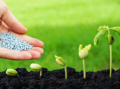 Россия сохраняет лидерство в поставках удобрений в Молдову