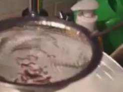 Чудовищную воду из крана с червями показали на видео жители Хынчешт