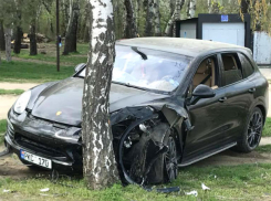 Агрессивный водитель попытался задавить собак в столичном парке, однако разбил машину о березу