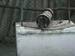 В Сорокском районе женщина выбросила тело младенца в колодец — проводится расследование