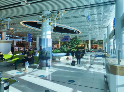 У аэропорта собираются очереди из сотен людей