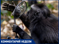 Молдавская политика: парни, не ссорьтесь, все вы по-своему хороши
