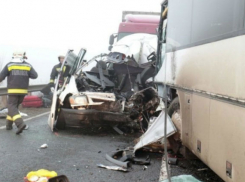 Трое румын погибли и пятеро попали в больницу после лобового столкновения автобусов 