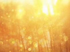 «Распогодилось» - в следующие дни на улице будет тепло