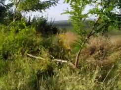 Война с мертвыми и война с природой - вандалы ополчились на захоронения на Шерпенском плацдарме