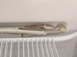 «Убитая» морозилка из интернет-магазина повергла в шок жительницу Кишинева