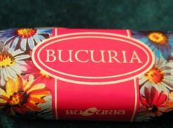 Румынию обвинили в том, что она избегает товаров из Молдовы