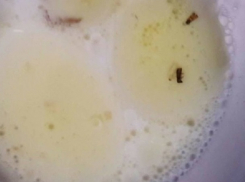 Кормление малышей червями в столичном детсаду привело в негодование родителей