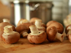 Начался грибной сезон: эксперты советуют быть осторожными