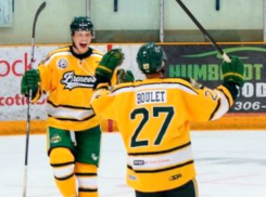 Разбился автобус с хоккейной командой, погибли 14 человек