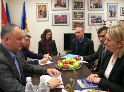 Игорь Додон обсудил молдо-американские отношения с послом США