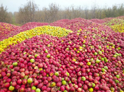 Картина, достойная пера художника, если бы не было столь  печально