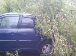 Два дня непогоды в Кишиневе: пострадали машины и могилы