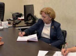 Спасти от закрытия школу в селе Стояновка пообещала Зинаида Гречаный 