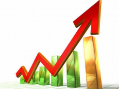 Годовая инфляция в июле достигла 33,55 процента